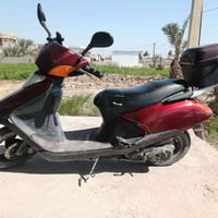 سبيسي • ياباني • مجفته