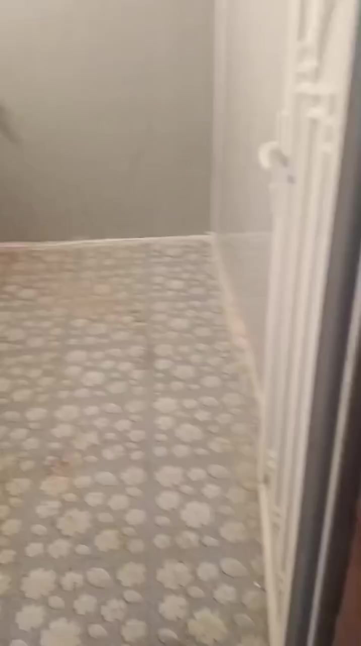 سلام عليكم 
بيت للايجار في حي الضباط قرب جامع المدلل 
يتكون من غرفتين نوم وصاله ومطبخ واستقبال وكراج كما موضح في الفديو بدل الايجار ٤٠٠
للاستفسار الاتصال على الارقام التاليه 
***********
***********
