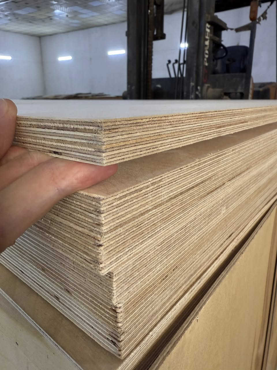 ‏متوفر لدينا طبقات mdf ضد الرطوبة اللون الأخضر فقط البيع خام والبيع مكبوس قشرة جوز والسنديان والزان وجه واحد أو وجهين
 الطبيعي فقط مع توفر الصمغ بالقشرة 
‏ 366* 183* 18 ملم
‏280*210 (7 ملم 10 ملم 18 ملم ) 
‏لا يتوفر مكبوس جاهز وإنما حسب الطلب 
‏للاتصال *********** 
واتساب ***********
