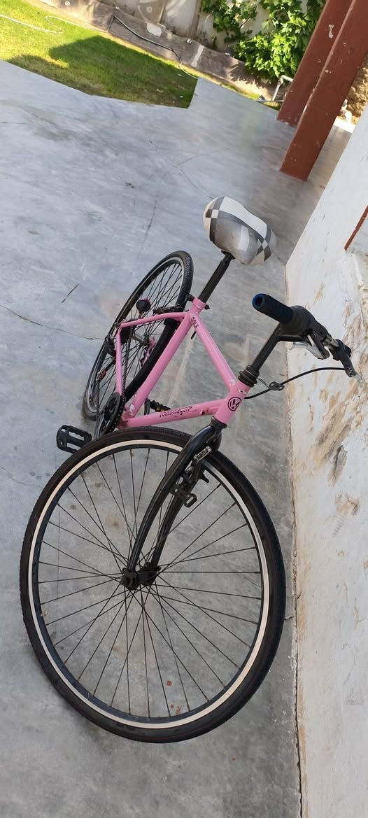 السلام عليكم ورحمة الله بويسكل c700نضيف فول شقال كلشي ما بي حجم 27سعر 70بي مجال شي قليل مكان الخضرانيه


**إذا كنت صاحب هذا الإعلان وتريد حذفه لأي سبب، رجاءا أرسل رسالة إلى الدعم الفني**