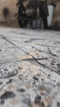 بوكسر جبلي موديل 22 اوراق سعر 1500 وبيه مجال اتصال + وتساب 07760821000