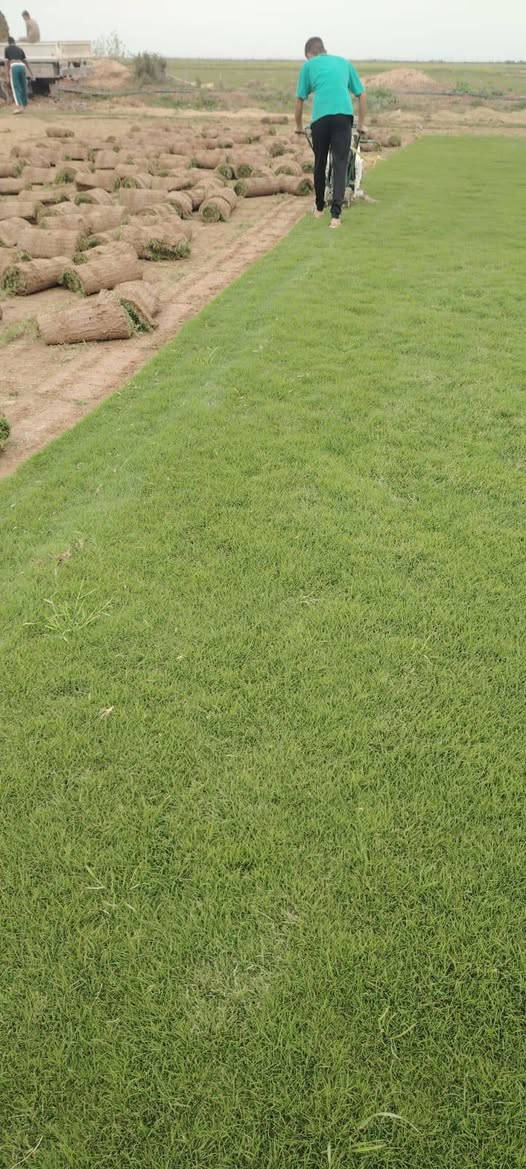 على بركة الله 
تم وصول الثيل الهندي 
باقين على العرض للحجز مراسلة الصفحه
شارع كوفه نجف ركن حي العداله مجاور باسكت للتسوق


**إذا كنت صاحب هذا الإعلان وتريد حذفه لأي سبب، رجاءا أرسل رسالة إلى الدعم الفني**