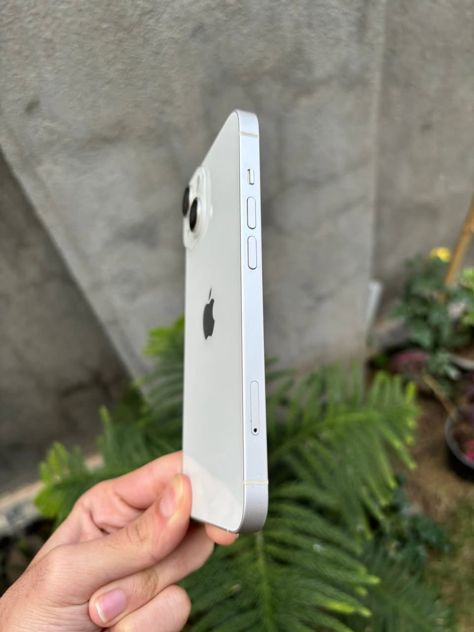 ايفون 14 عادي ذاكرة 128بطارية 85 ماستر شرق اوسط نموذج M الأصلي مامفتوح ولامبدل بي شي وتربروف عالفحص نظافة 100‎%‎ شخط واحد مابي
السعر 500 قفل


**إذا كنت صاحب هذا الإعلان وتريد حذفه لأي سبب، رجاءا أرسل رسالة إلى الدعم الفني**