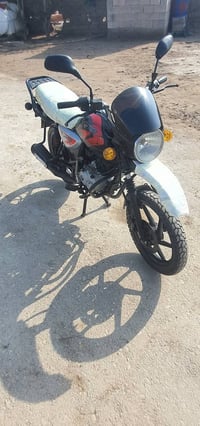 موديل 2022 • أوراق • العزير