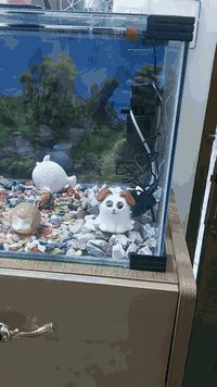 حوض سمك للبيع(٠٧٨٦٨٣٠٦١٣٥)(٠٧٥١٠٧٩٧٨٨٥)