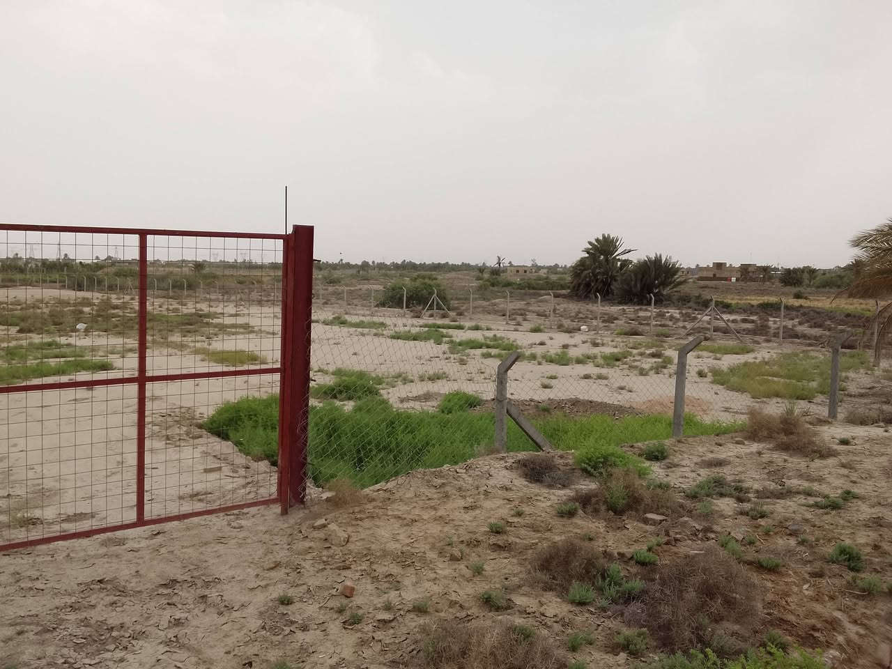 يا الله سلام عليكم اخوان دونمين و200م طابو زراعي سند 25 بسمي خلف جامعة بابل مسافه 2كيلو يبعد عن شارع حله نجف 2كيلو ماي اساله 24ساعه كهرباء كله باب الرض واجه  100م  ول باقي نزال ***********شارعهن رسمي محرم رواأي موقع حلو او هادء *********** من رخصت الادمن
