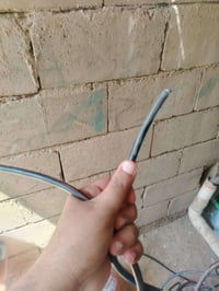 ضفيره • ٥٠م • خطين