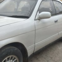 بطة • مصبوغة • شغالة