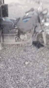 ستوتات لبيع ام تي ار شرط حطهن عد يمناك وحده محرك 25 وحده 21 قفلهن  مليون وثلث ميه مكاني شرقاط المحركهة 25 موديل 21 وهذيج موديل 19 وهلا بشرايه ***********
