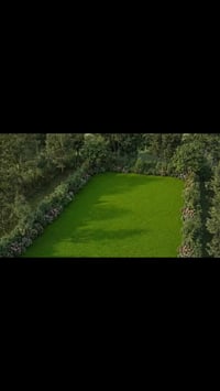 الانتهاء من تصميم مخططات كاملة مع واجهة بخيارات متعددة ..... وهذا احد ...