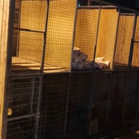 محميه للبيع • ٣م×٢م • شط العرب