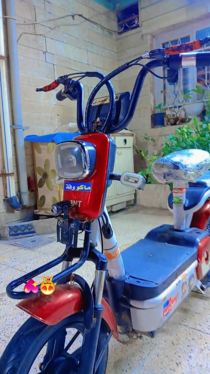 مطور شحن 
حجم 14 ✅ نضفتو 100 ✅ عداد بطريتو ٤ معاى ٢ بطريت هدي يمشك ٥ كيلوت ✅ سويج ✅ وبصمه عن بعد✅ وقفل بل بصمه وفتح ✅ سويج قفل بس تيار الورء ✅ عداد سرعتو ٣ ✅ السرعه الحقيقي ٤٠ ✅ السعر 150 الف وبي مجل ✅


**إذا كنت صاحب هذا الإعلان وتريد حذفه لأي سبب، رجاءا أرسل رسالة إلى الدعم الفني**