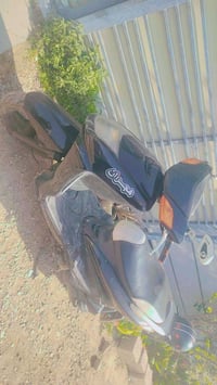 سكنس نثية • مكفول • ديالى