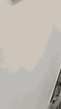 منتظر الكهربائي
***********
***********
