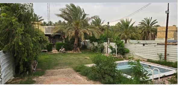 السلام عليكم دار للبيع الكاظمية منطقة الطي شارع البو عبود عرض الشارع ٢٠ متر مساحة الأرض ٥٠٠ متر ..المسبح ٤×٤ يرادلة ترميم مساحة البناء ١٢٠ طابق واحد يرادلة ترميم طابو صرف سند ٢٥ سند بأسم صاحب الأرض يعني مو من واحد الواحد ***********
