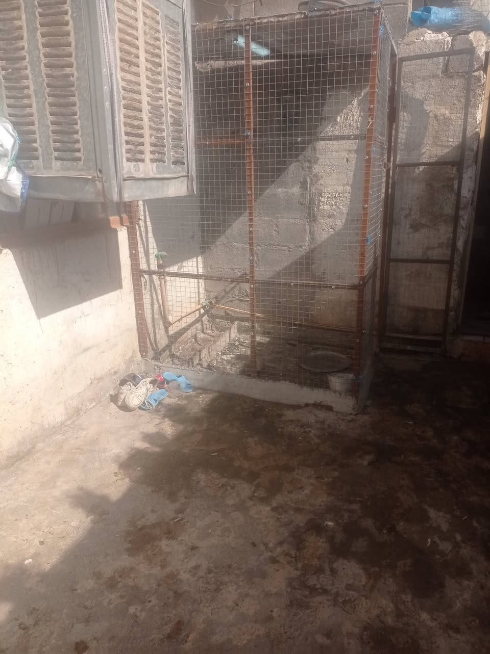 قفص شغل حيل حلو طول مترين وعرض متر ونص ورتفاع مترين السعر 50


**إذا كنت صاحب هذا الإعلان وتريد حذفه لأي سبب، رجاءا أرسل رسالة إلى الدعم الفني**