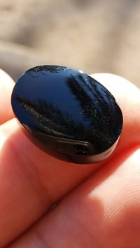 اليماني • شفة العبد الحر • غير مجمر