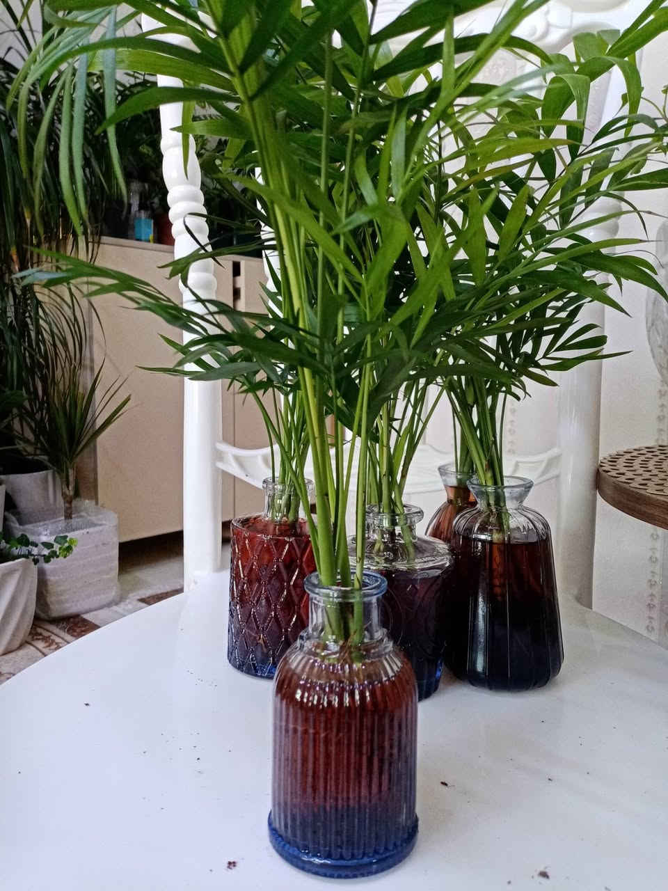 زرع طبيعي ماءي قاروره زرع بلتربه سعر حسب حجم كبير


**إذا كنت صاحب هذا الإعلان وتريد حذفه لأي سبب، رجاءا أرسل رسالة إلى الدعم الفني**