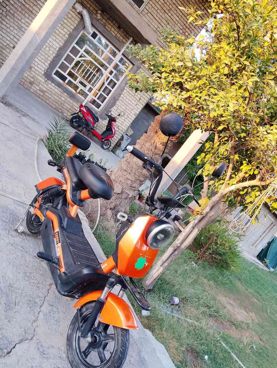 دراجة ibike شحن
السلام عليكم 
 دراجة شحن صغيرة 14 بطاريات ممتازة 4 على الفحص نظافة عالية 
 300  السعر 
بيها مجال 
العنوان ابي غريب الرسالة
للاستفسار 

***********
