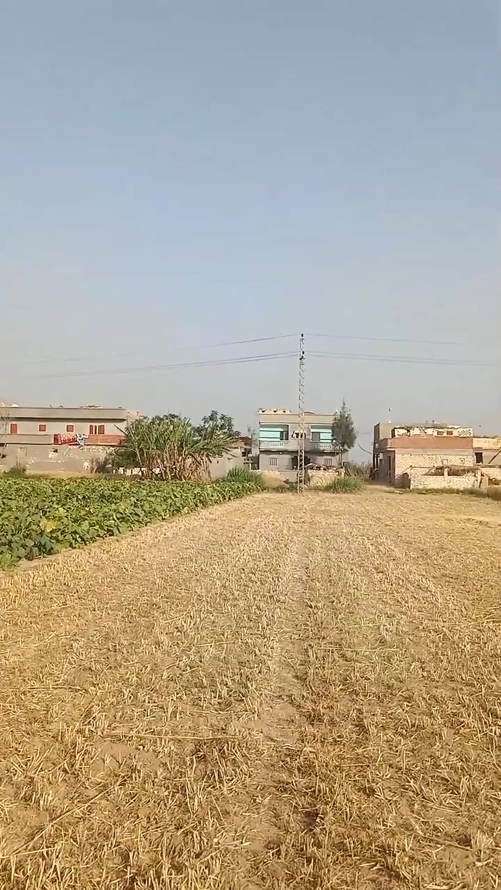 مساحة 2 فدان وربع

 التفتيش الرابع تبع العشر آلاف  مركز ابوالمطامير محافظة البحيرة ، علي الاسفلت الفرعي مباشر 

عقد نهائى خالص الثمن وحيازة زراعيه 

بها منزل 2 دور وبها 2منزل دور واحد 

وبها حظيرة مواشي 

وبها ري بحاري 

وبها كهرباء  

وبها مياه شرب حكومي  

للتواصل : 01091478725 

#اراضي_زراعية_للبيع


**إذا كنت صاحب هذا الإعلان وتريد حذفه لأي سبب، رجاءا أرسل رسالة إلى الدعم الفني**