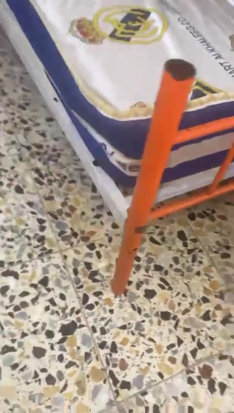 للبيع قيمو وخذو بما يرضي الله


**إذا كنت صاحب هذا الإعلان وتريد حذفه لأي سبب، رجاءا أرسل رسالة إلى الدعم الفني**
