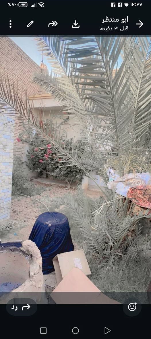 دار للبيع مساحه ٣١٢.. حي الشهدا مقابل المدارس  طابقين   بنا جديد
باقي التفاصيل اتصل ***********
