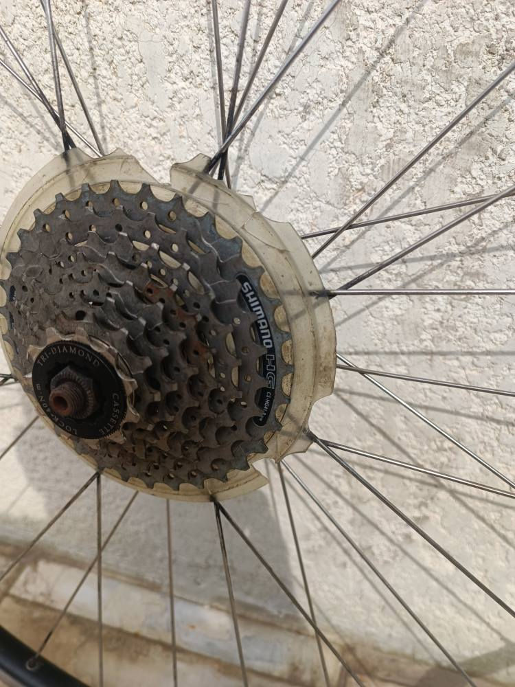 وياله بونتريگر امريكي 
طبقتين يتحمل وزن عالي حجم 28 
نظاف كلش وياهن دشلي 8سبيد 
الوياله موس  بس قاعده الدشبي قوية ماتفتر 
عندي طوبه كامله انطيكياها وياهن اذا يعجبك تشده تفتح منه وتشد للوياله براحتك بعد 
مكاني بصرة بالجبيلة 
سعرهن اثنيهن ب 35  سعرهن بسعر  التك 

*********** 
0️⃣7️⃣7️⃣1️⃣5️⃣5️⃣6️⃣9️⃣0️⃣3️⃣9️⃣
