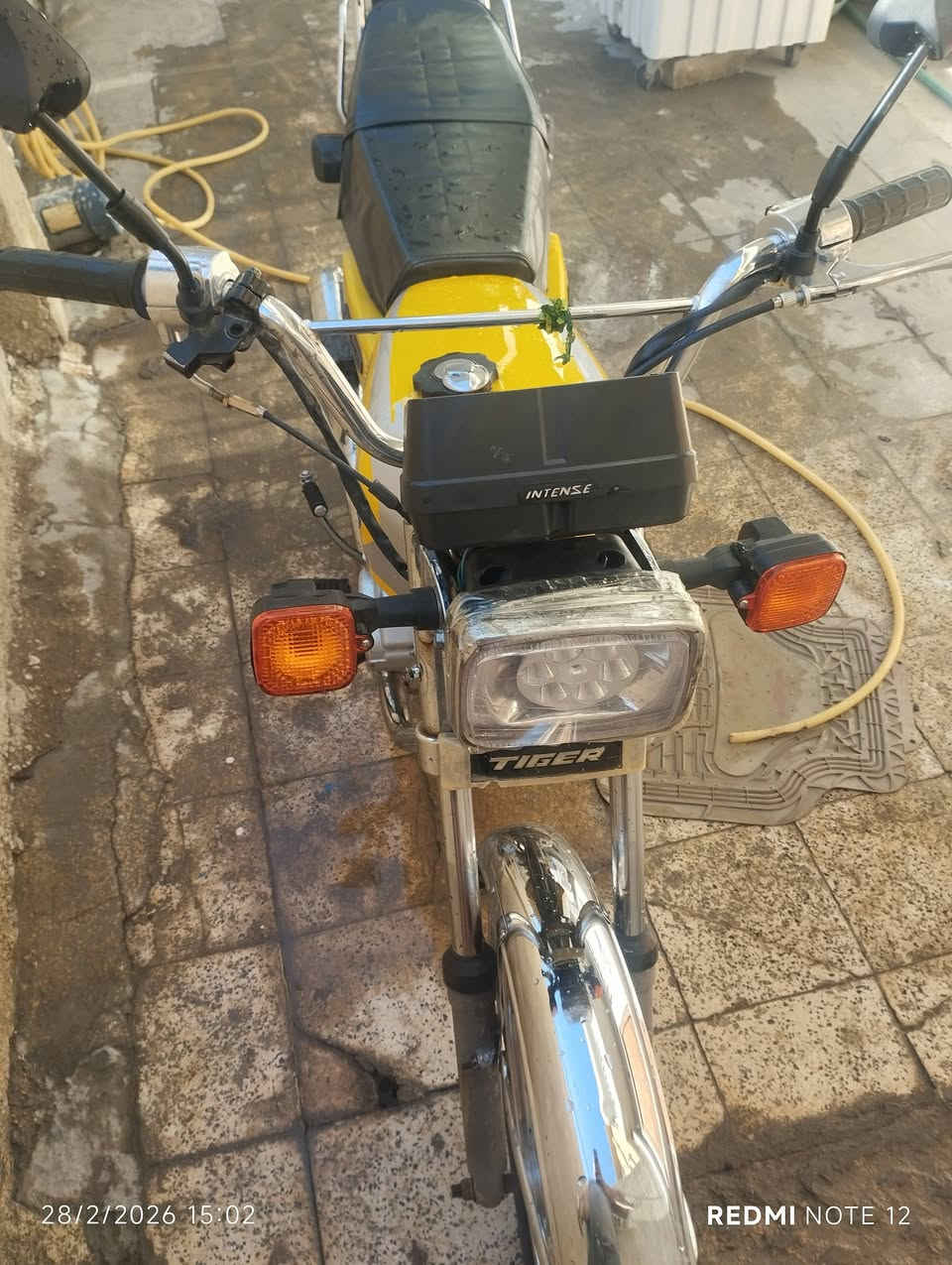 السلام عليكم اربعه كير ٢٠٢٠ اوراق منفيس وكمرك  بيهه مكينته مجفته جديد ناعمه وحلوه ساعه دخن ساعه لا زنجيل وقمجي جديد للبيع او المراوس ٤٥٠ وبيه مجل شي قليل حك الجيه مكاني بغداد***********
