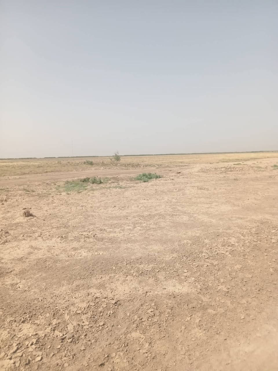 سلام عليكم
180 دونم للبيع كنعان منطقه بيت الأغا
جاهزه التقسيم او مشاريع لاخره خدمات مي كهرباء
طابو زراعي سند 25 تحويل مباشر بسم للمشتري
صالحه لاستثمار او سكن او مشاريع لاخره
لاسعر دونم 18 وبي مجال
للبيع يكون شلع 
لاستفسار على هذه الرقم *********** 📞***********
