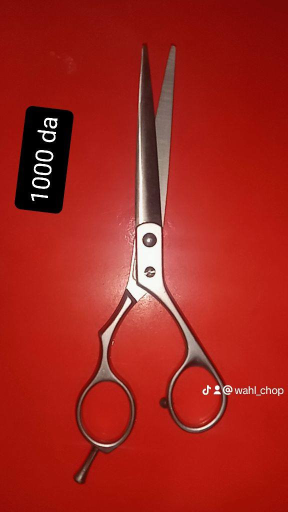 مرحبا بكم التوصيل متوفر


**إذا كنت صاحب هذا الإعلان وتريد حذفه لأي سبب، رجاءا أرسل رسالة إلى الدعم الفني**