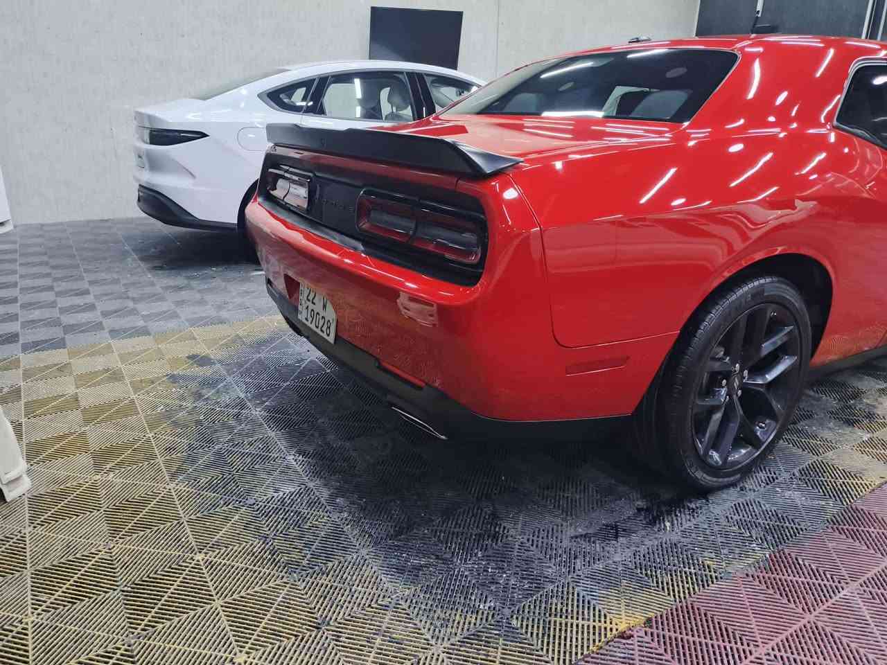 جالنجر   ٢٠٢٣ 
ماشيه ٣٣
محرك ٣٦٠٠
رقم اربيل 
حادثها جاملغ وبونيد مكانتين بارد مايبين 
بدون دواخل ايربك راجع ستتم 
مكاني موصل سياره بسمي 
سيارة كامله ربع ماتصرف عليها 
*********** اتصل وبيك خير وادلل
