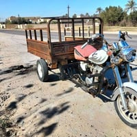 ستوته • كفالة عامة • بدون مشاكل