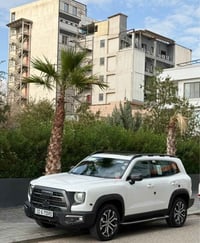 هافال دارگؤ • فول فول • ٥٢ ألف كم