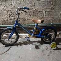 باسكل ياباني • حجم ١٦ • بلدروز