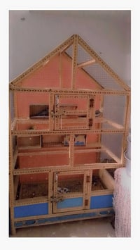 قفص بلابل مع البيوت بسعر  30 وبي مجال مكاني بغداد حي البتول 0774045087...