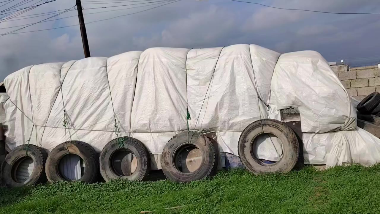 السلام عليكم اخوان متوفر تبن ابيض وناعم مثل ما موضح بالصورة سعر الزوج 4500 جيس ابو 60 شرط تبن درجه اولى
للاستفسار
***********
#ادمن وافق
