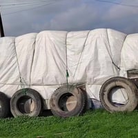 اخوان متوفر تبن ابيض وناعم مثل ما موضح بالصورة سعر الزوج 4500 جيس ابو ...