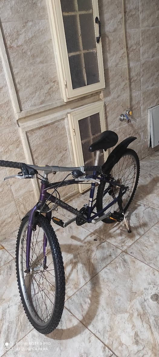 الماني اصلي للبيع التواصل علمسانجر


**إذا كنت صاحب هذا الإعلان وتريد حذفه لأي سبب، رجاءا أرسل رسالة إلى الدعم الفني**