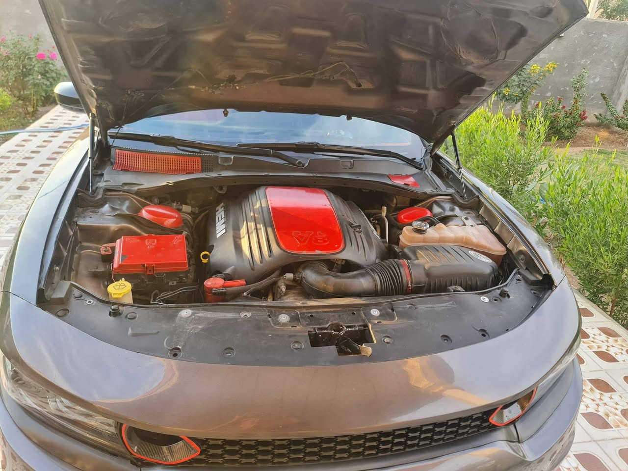 جارجر.    RT  2016
سلام عليكم اخوان للبيع او مراوس حسب القناعة السياره رقم .بغداد. مميز  تحويل ثاني يوم مكانها (واسط الزبيديه ) سياره ماشاءالله حلوه ونصبه تخبل استخدام شخصي كل التفاصيل مذكوره يمكم  بل سونار موجود  السياره مكفوله مثل مامذكور بالسونار 
 وبخدمتكم 

اتصال ***********
مكلف بل نشر 
+9647754899072
