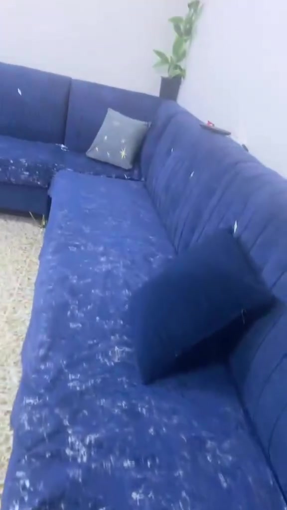 ديوان للبيع
شرط النضافه

اخو الجديد

سعر 350وبي مجال


**إذا كنت صاحب هذا الإعلان وتريد حذفه لأي سبب، رجاءا أرسل رسالة إلى الدعم الفني**