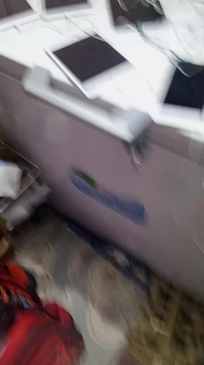 وصول وجبه جديده من ايباد مني 1 ايباد باله امريكي جديد ونضيف يحتوي على تطبيقات والعاب بيه 35لعبه واكثر سعره 60الف مع التوصيل


**إذا كنت صاحب هذا الإعلان وتريد حذفه لأي سبب، رجاءا أرسل رسالة إلى الدعم الفني**