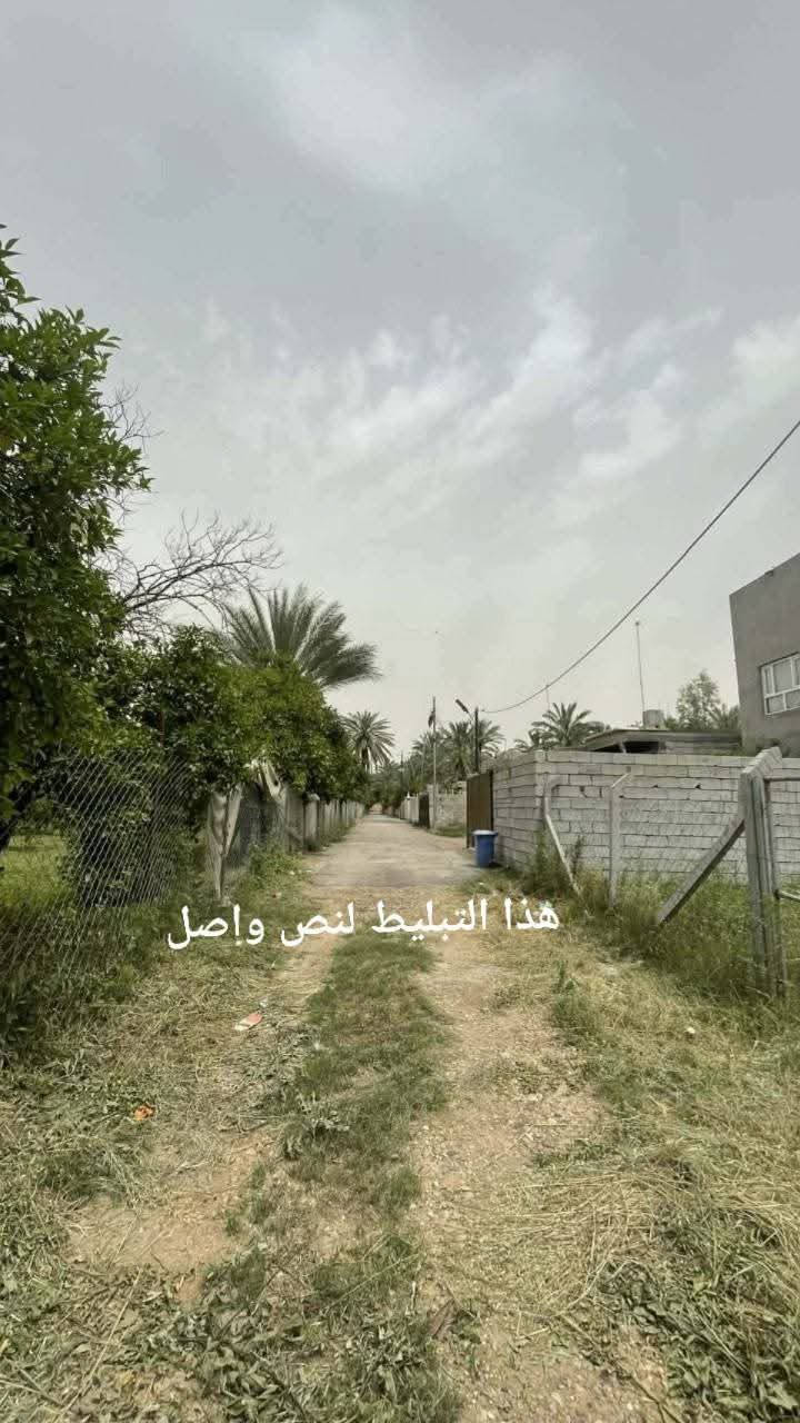 للبيع قطعة ارض مساحتها 600م الواجهه26م النزال23م سند 25للاستفسار ومعلومات اكثر الاتصال على *********** تصلح للستثمار كمزرعه صغيره عائليه السعر 90مليون قابل للتفاوض العنوان الراشديه منطقة البوحياة
