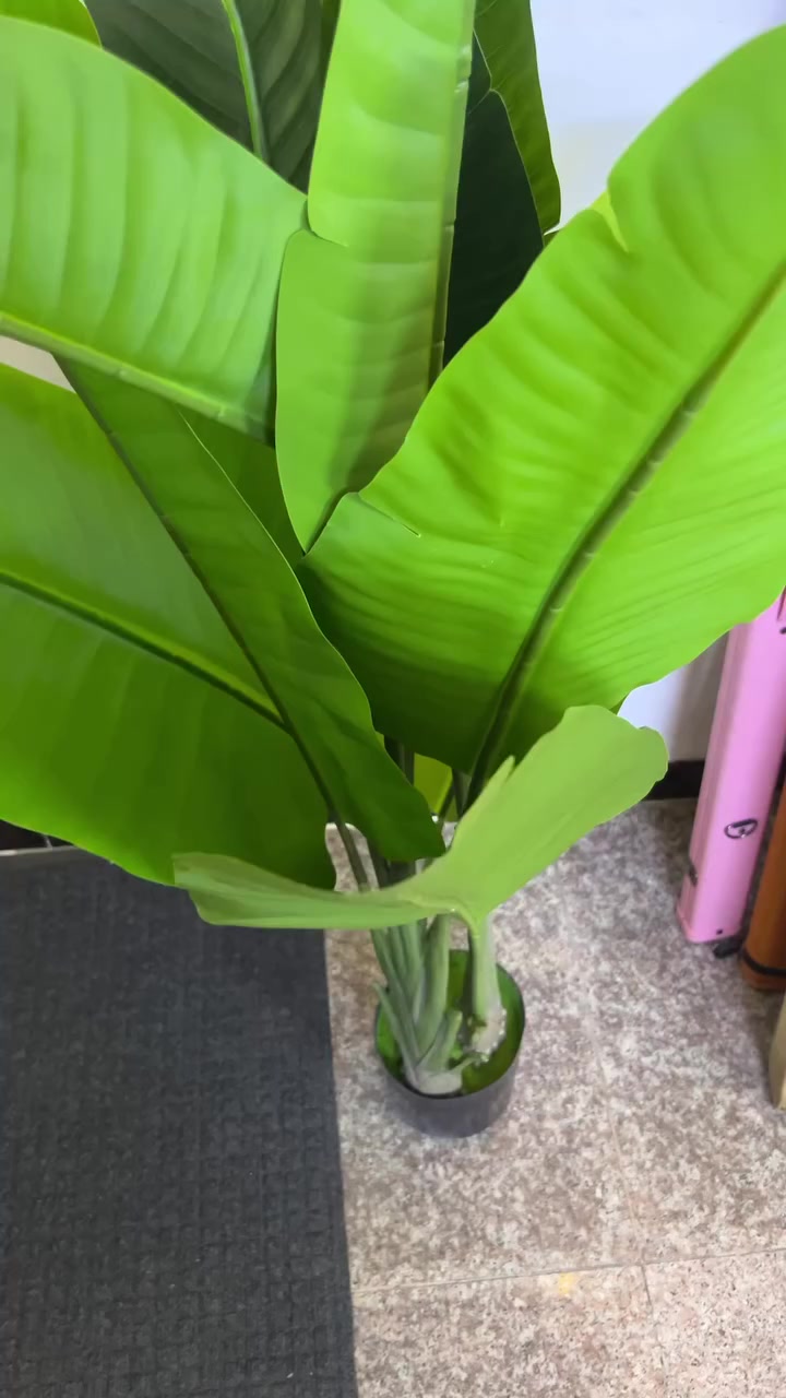 شجره بهاذا الشكل جديده زيتي الطول 184سم اول تم 35


**إذا كنت صاحب هذا الإعلان وتريد حذفه لأي سبب، رجاءا أرسل رسالة إلى الدعم الفني**