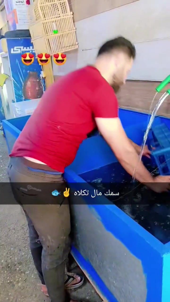 انواع الاسمج والدجاج انسب الاسعار اكو خدمه توصيل ***********
