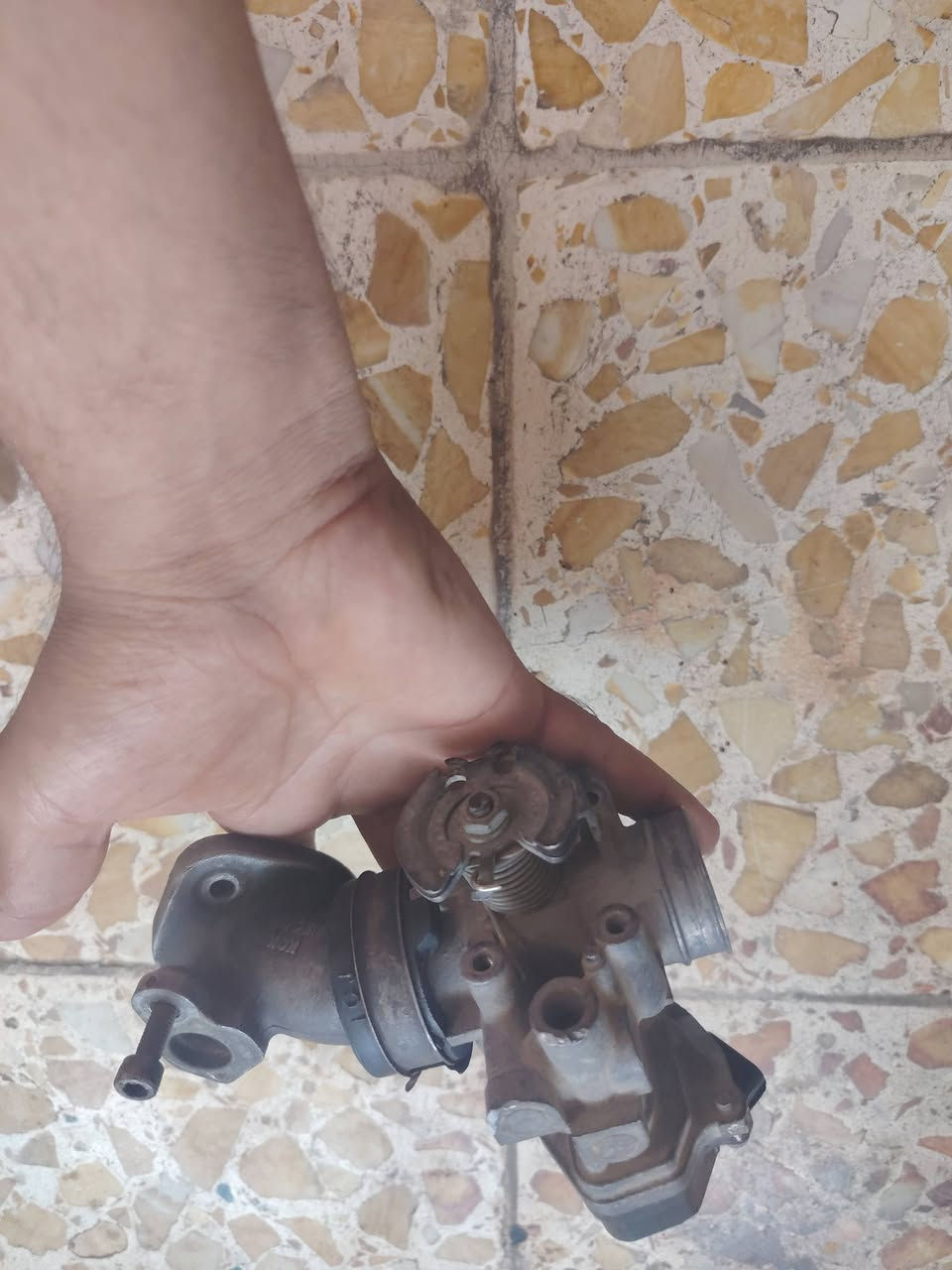 سلام عليكم غراض سكنس للبيع ***********
سلف سكنس بلادي شغال
قاعده رقم RGS كرزيه
كلج امامي WF أصلي 
سبايدر سكنس قطعتين يرهم فحل لد شمعه وتيماكس
سبايدر سكنس بلادي
فشكه بريز
روله سكنس جبلي
جويتر سكنس جبلي
