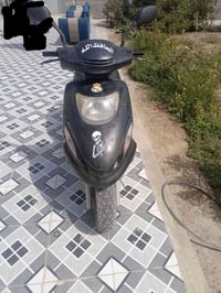 دولفين • كامل • تايرات نضيف