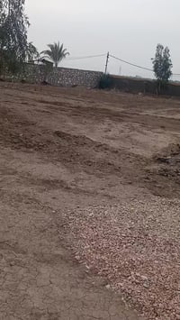 بزل حجي • طابو زراعي • ١٠٠٠م