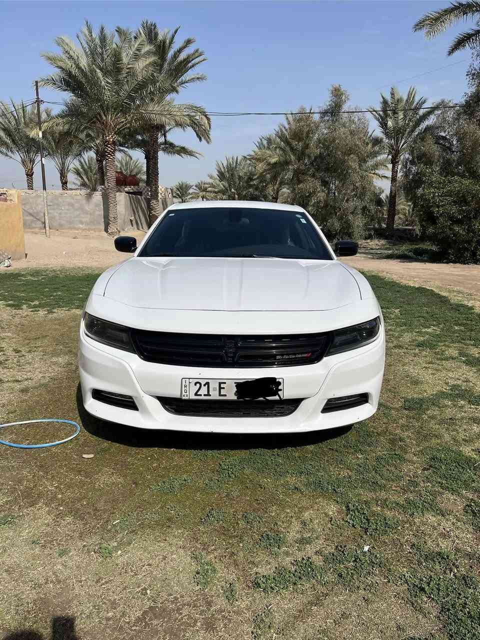 Charger Sxt2020
جارجر موديل 2020
رقم  سليمانية بسمي
جاهزه للخير 
بجم كبس
حادث نص باب عبري فقط
مكينه كير كفاله شرط ع وضع الشركه 
حداديه الشركه مفتوحه
تخم تاير صار اسبوع شاده

المسافة المقطوعة 50 
استخدااام شخصي

حجم المحرك 3600

مواصفات  
داخل اسود
كامره خلفيه
 مصابيح امامية زنون مع بلوجكتر LED .
ويل قياس 17
شاشه وسط مع نظام ملاحة نفكيشن GPS .
 مقاعد أمامية كهربائية
مقاعد أمامية  وتدفئة .
 تشغيل عن بعد . .
 محدد سرعة . .
 كاميرا خلفية دوارة.
حساس خلفي اصل 
السياره كارتون احلى واجدد من الصور 
كله ع البلاد 
 مرايا  ترحيب متحسسة للاضاءة
دخول ذكي
للاستفسار 
***********
مكان السيارة بابل
