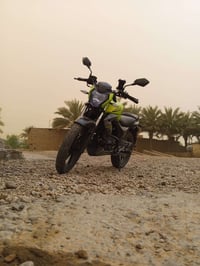 كيوجي • ٢٠٢٢ • ماكو وراق