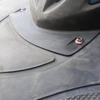 شباب فحل للبيع بيهه غراض كدامكم مال رمبه صار سبوع اوراقهه موجود مال مع...